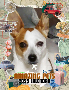 Amazing Pets: 2025 Wall Calendar (Pre-Order)