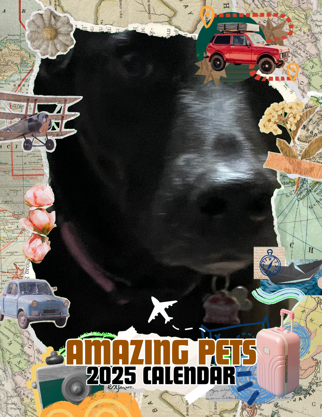 Amazing Pets: 2025 Wall Calendar (Pre-Order)