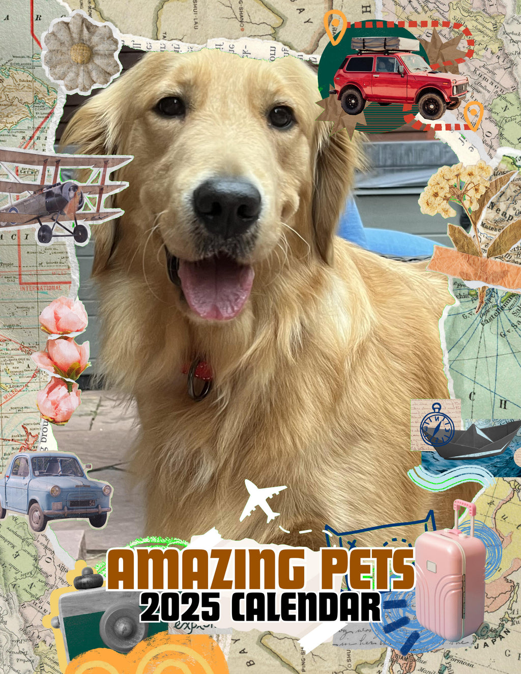 Amazing Pets: 2025 Wall Calendar (Pre-Order)