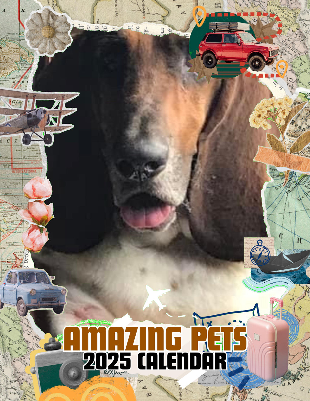 Amazing Pets: 2025 Wall Calendar (Pre-Order)