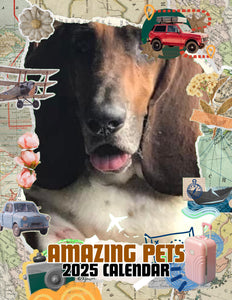Amazing Pets: 2025 Wall Calendar (Pre-Order)