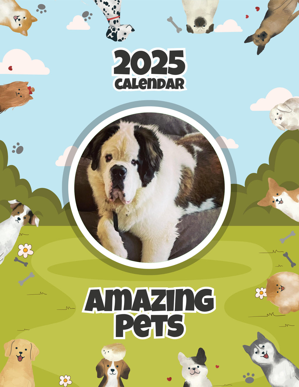 Amazing Pets: 2025 Wall Calendar (Pre-Order)