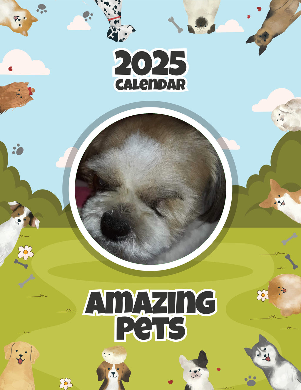 Amazing Pets: 2025 Wall Calendar (Pre-Order)