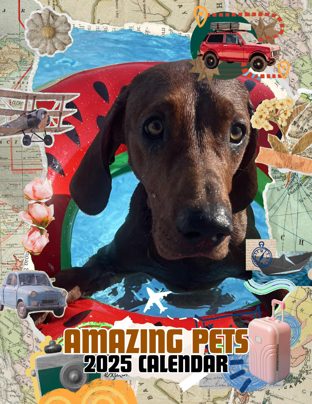 Amazing Pets: 2025 Wall Calendar (Pre-Order)