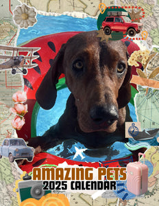 Amazing Pets: 2025 Wall Calendar (Pre-Order)