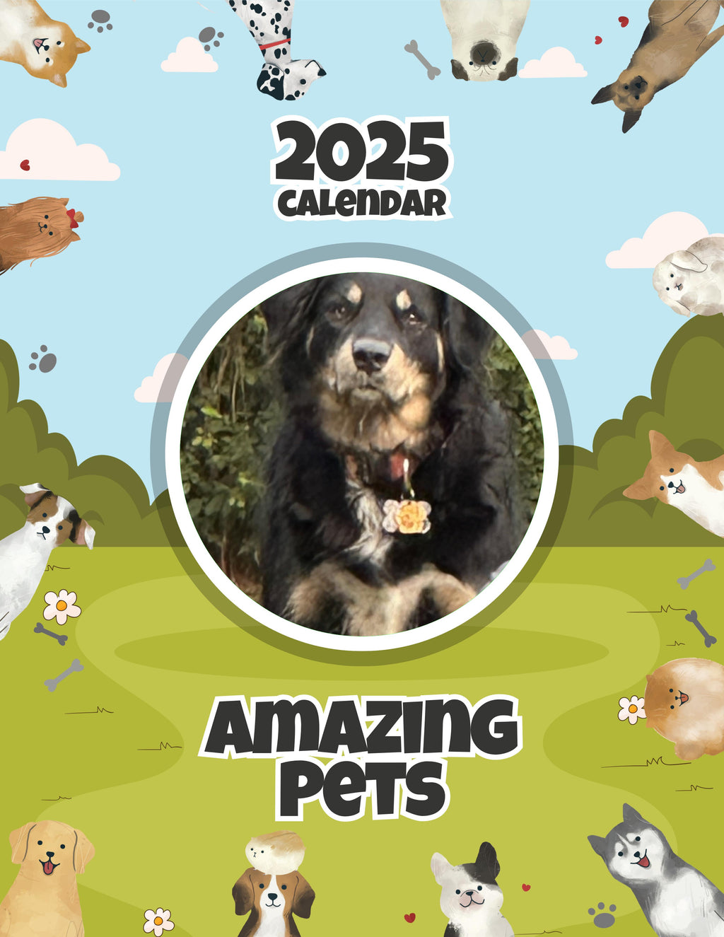 Amazing Pets: 2025 Wall Calendar (Pre-Order)