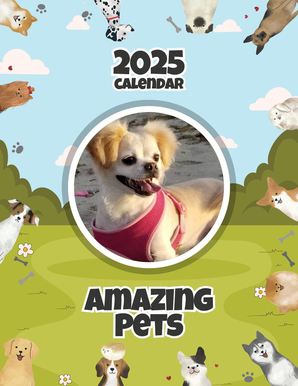 Amazing Pets: 2025 Wall Calendar (Pre-Order)