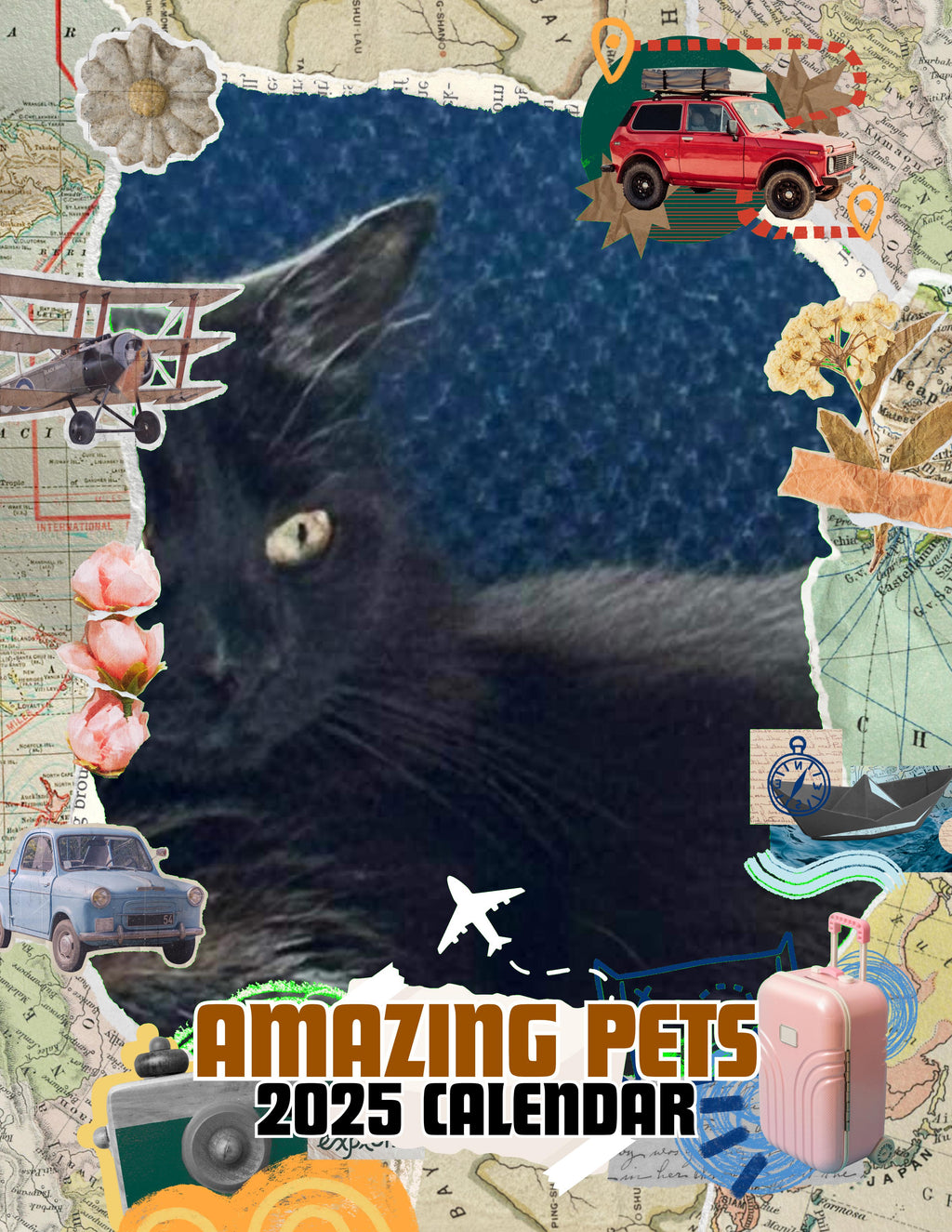 Amazing Pets: 2025 Wall Calendar (Pre-Order)