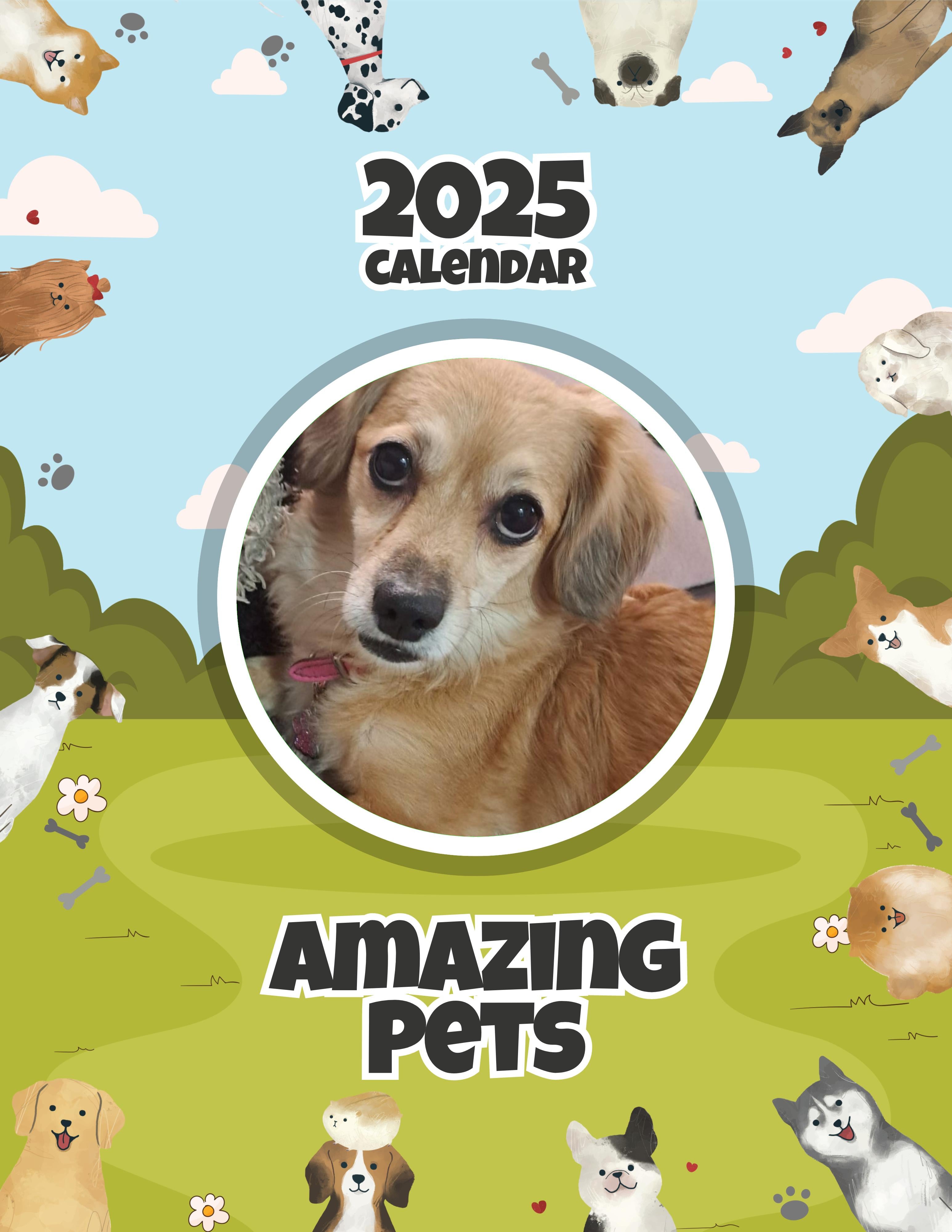 Amazing Pets: 2025 Wall Calendar (Pre-Order)