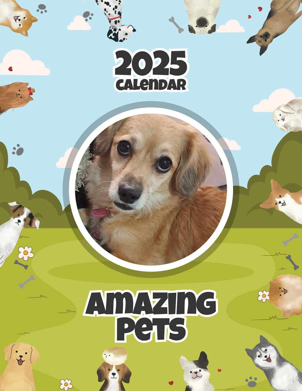 Amazing Pets: 2025 Wall Calendar (Pre-Order)