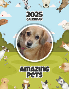 Amazing Pets: 2025 Wall Calendar (Pre-Order)
