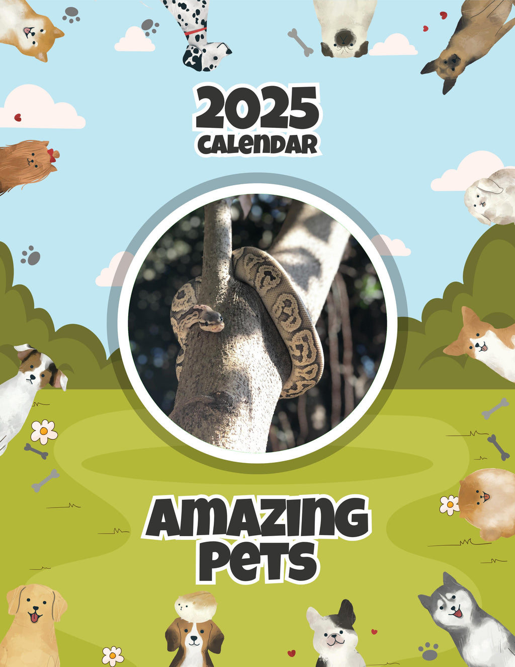 Amazing Pets: 2025 Wall Calendar (Pre-Order)