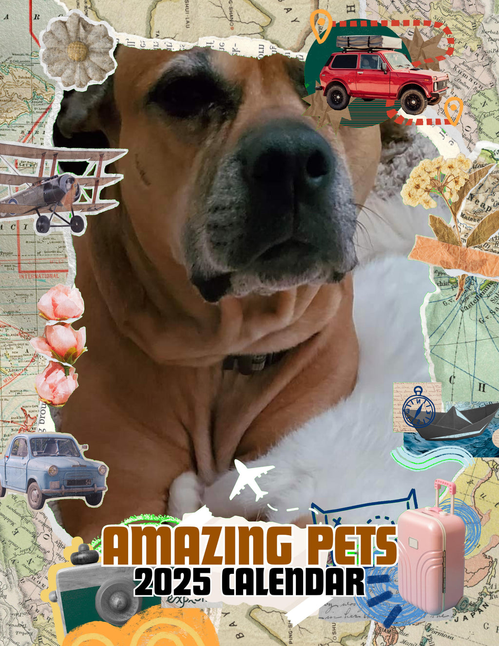 Amazing Pets: 2025 Wall Calendar (Pre-Order)