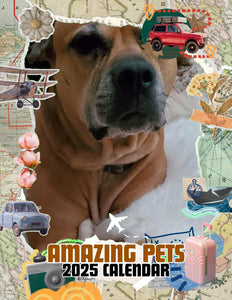 Amazing Pets: 2025 Wall Calendar (Pre-Order)