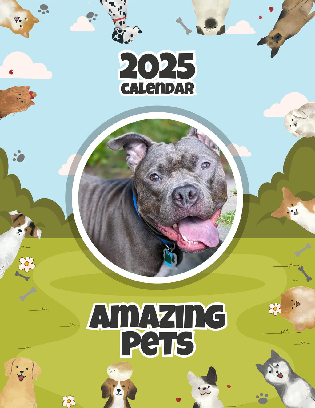 Amazing Pets: 2025 Wall Calendar (Pre-Order)