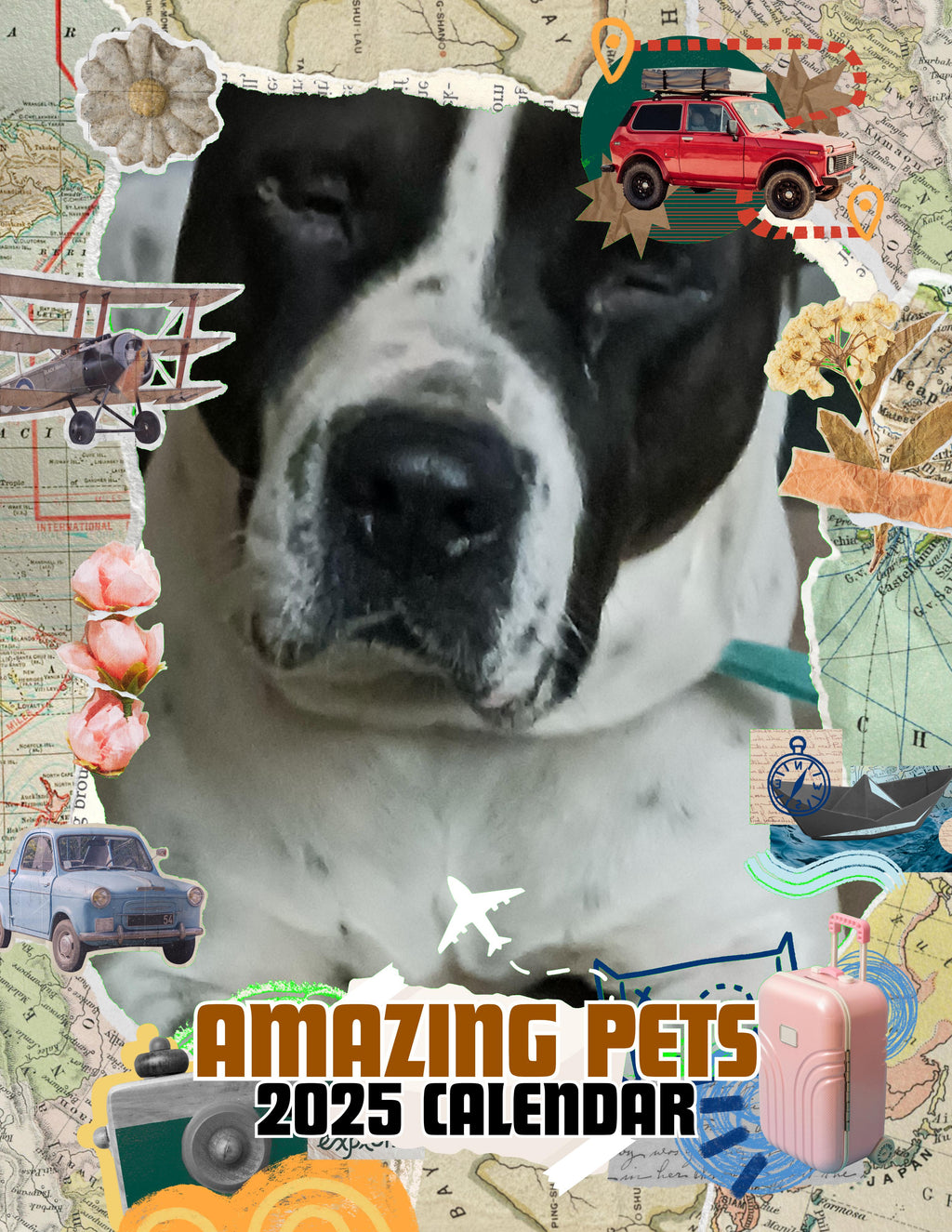 Amazing Pets: 2025 Wall Calendar (Pre-Order)