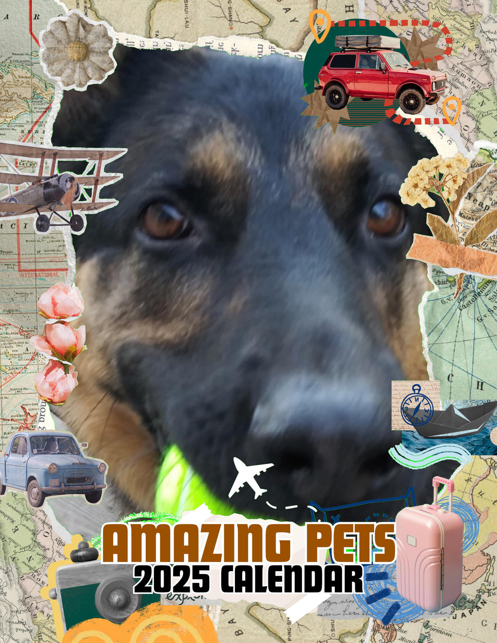 Amazing Pets: 2025 Wall Calendar (Pre-Order)