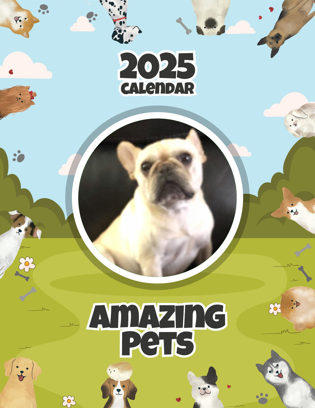 Amazing Pets: 2025 Wall Calendar (Pre-Order)
