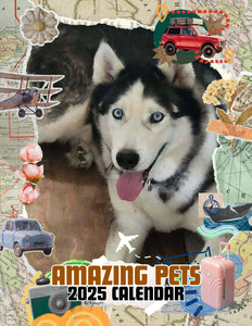 Amazing Pets: 2025 Wall Calendar (Pre-Order)