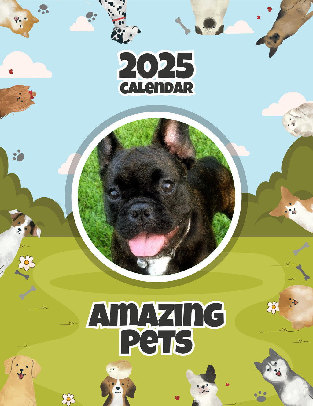 Amazing Pets: 2025 Wall Calendar (Pre-Order)