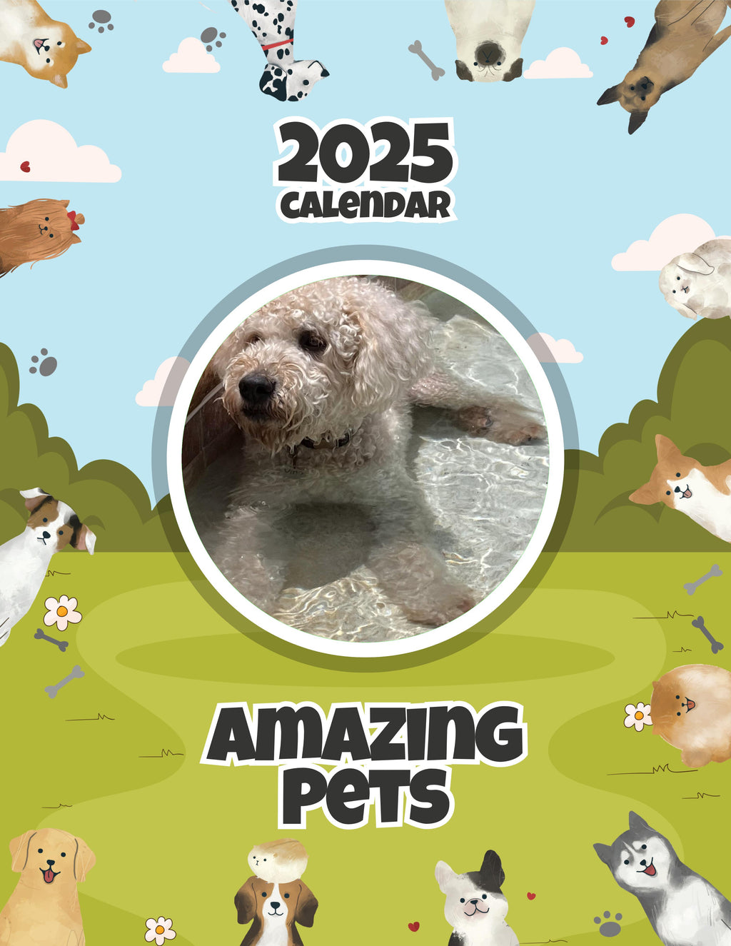 Amazing Pets: 2025 Wall Calendar (Pre-Order)