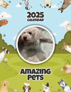 Amazing Pets: 2025 Wall Calendar (Pre-Order)