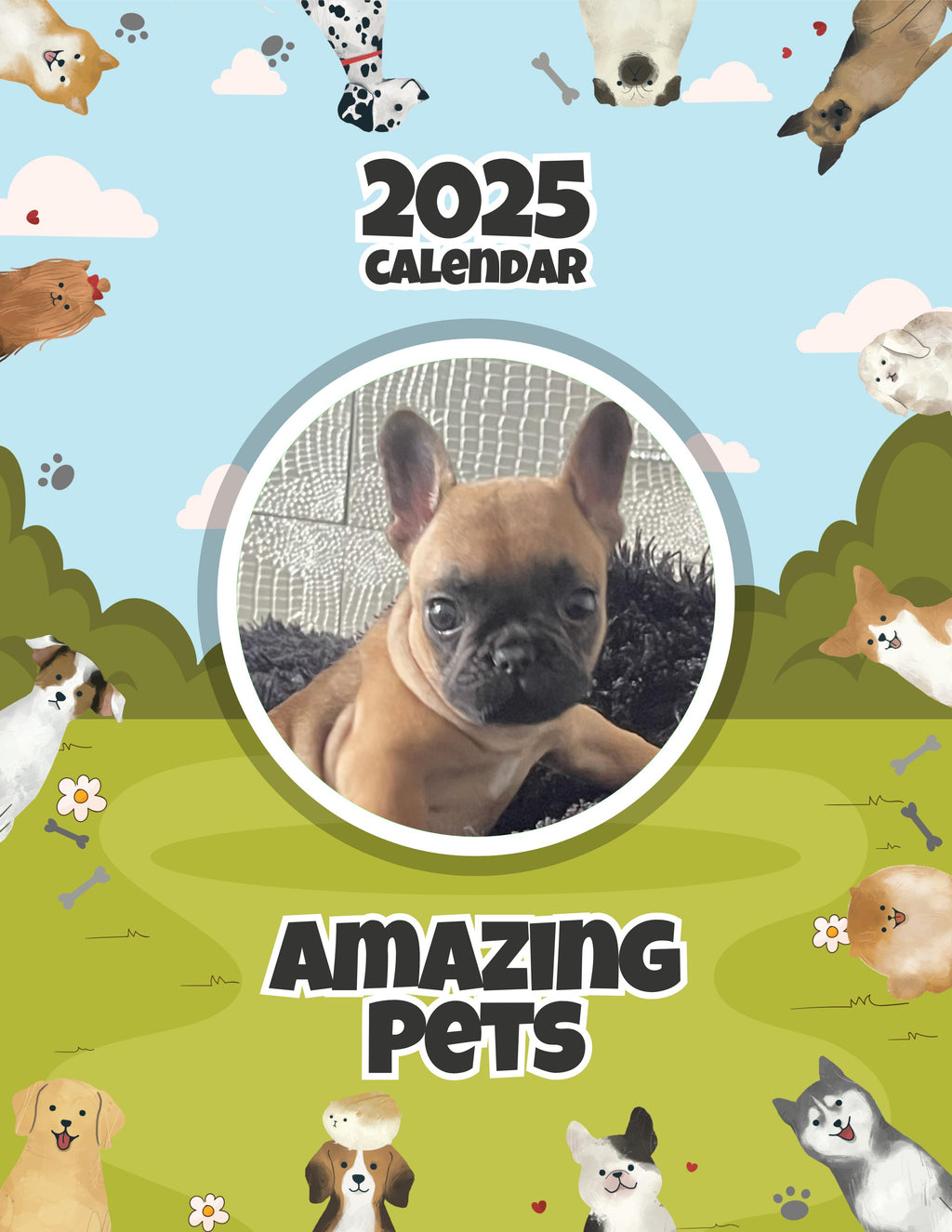 Amazing Pets: 2025 Wall Calendar (Pre-Order)
