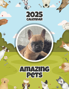 Amazing Pets: 2025 Wall Calendar (Pre-Order)