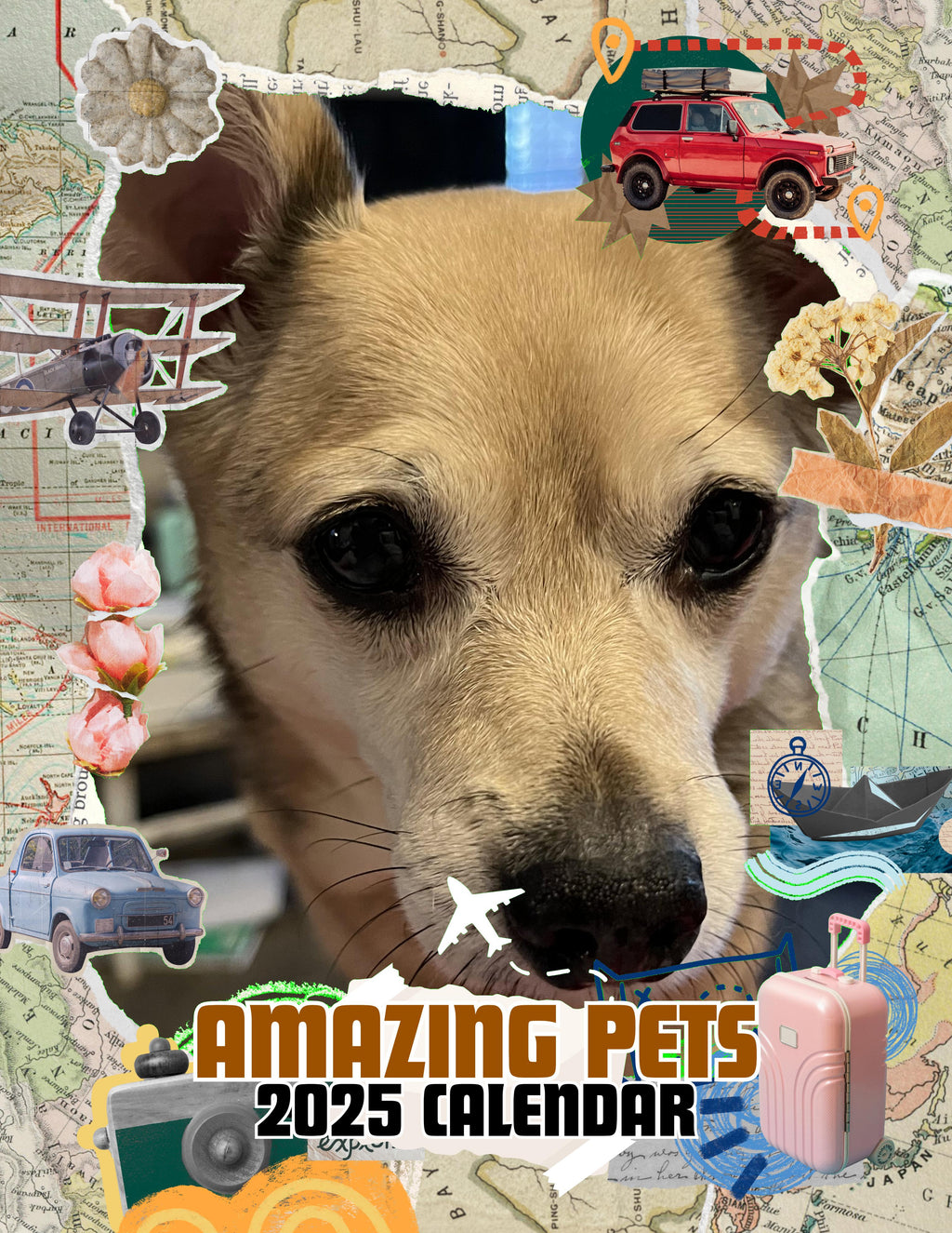 Amazing Pets: 2025 Wall Calendar (Pre-Order)