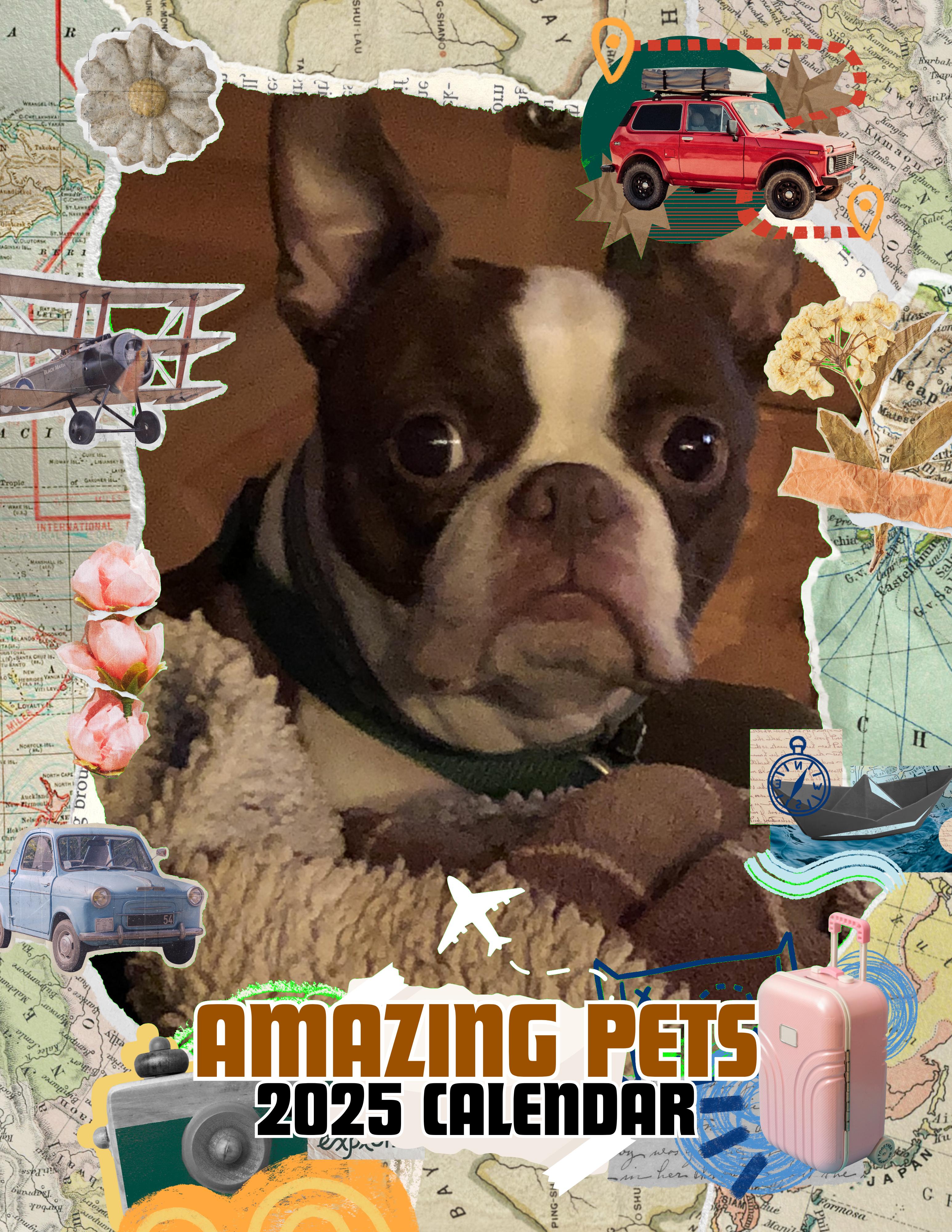 Amazing Pets: 2025 Wall Calendar (Pre-Order)