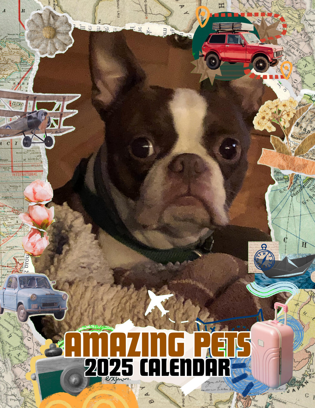 Amazing Pets: 2025 Wall Calendar (Pre-Order)