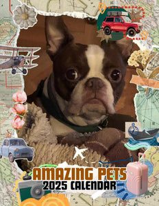 Amazing Pets: 2025 Wall Calendar (Pre-Order)