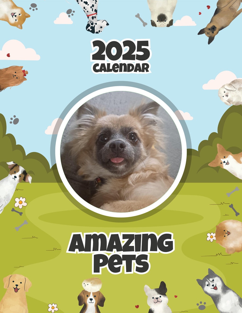 Amazing Pets: 2025 Wall Calendar (Pre-Order)