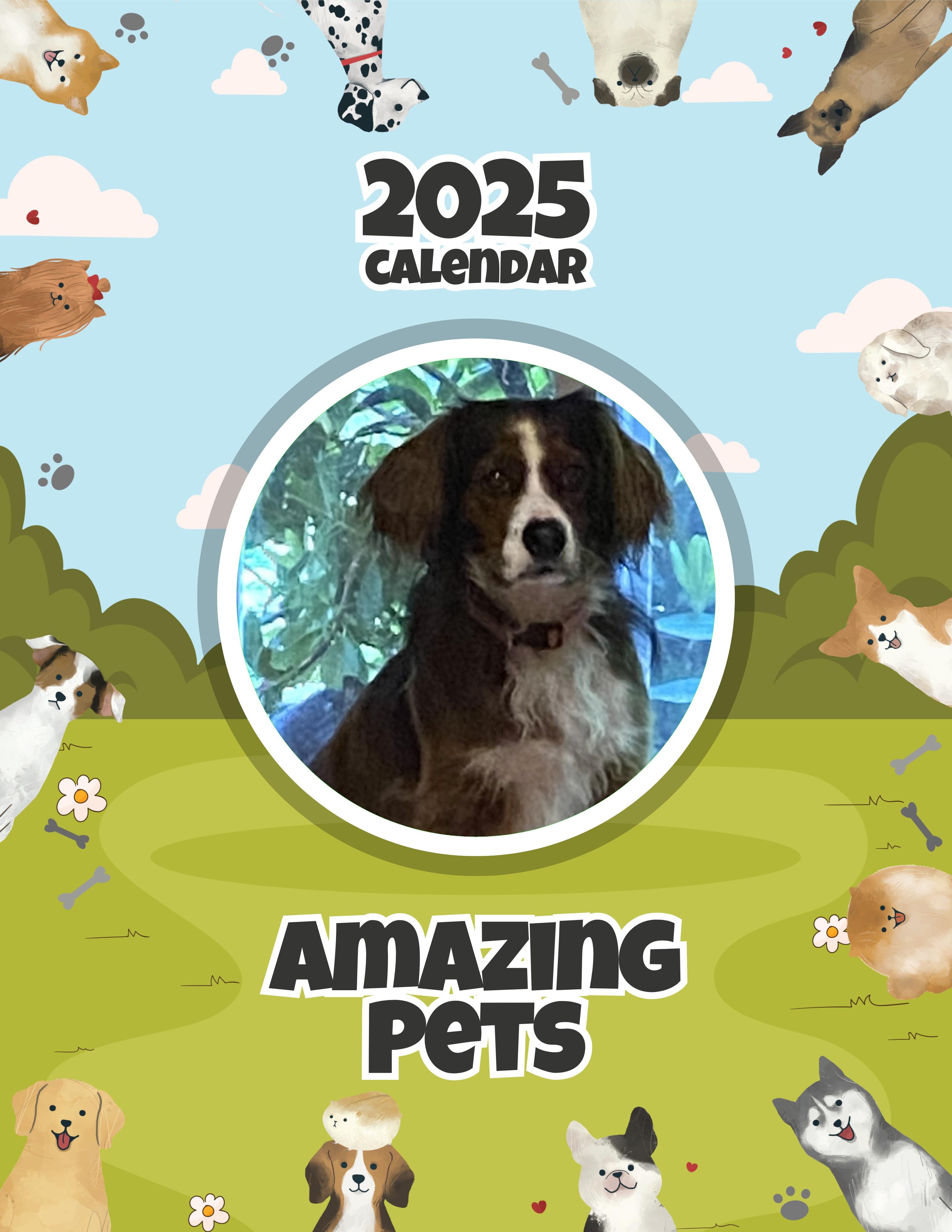 Amazing Pets: 2025 Wall Calendar (Pre-Order)