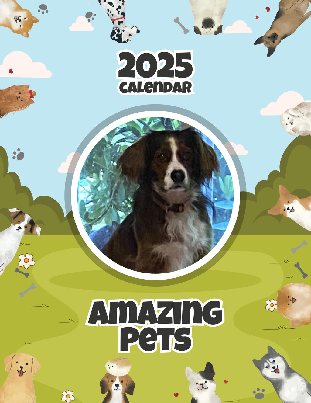 Amazing Pets: 2025 Wall Calendar (Pre-Order)