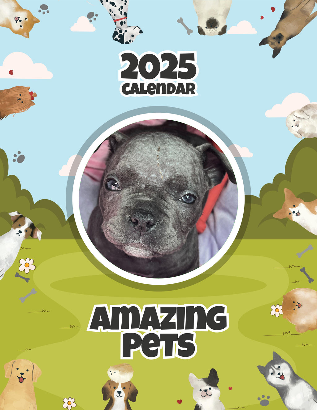 Amazing Pets: 2025 Wall Calendar (Pre-Order)
