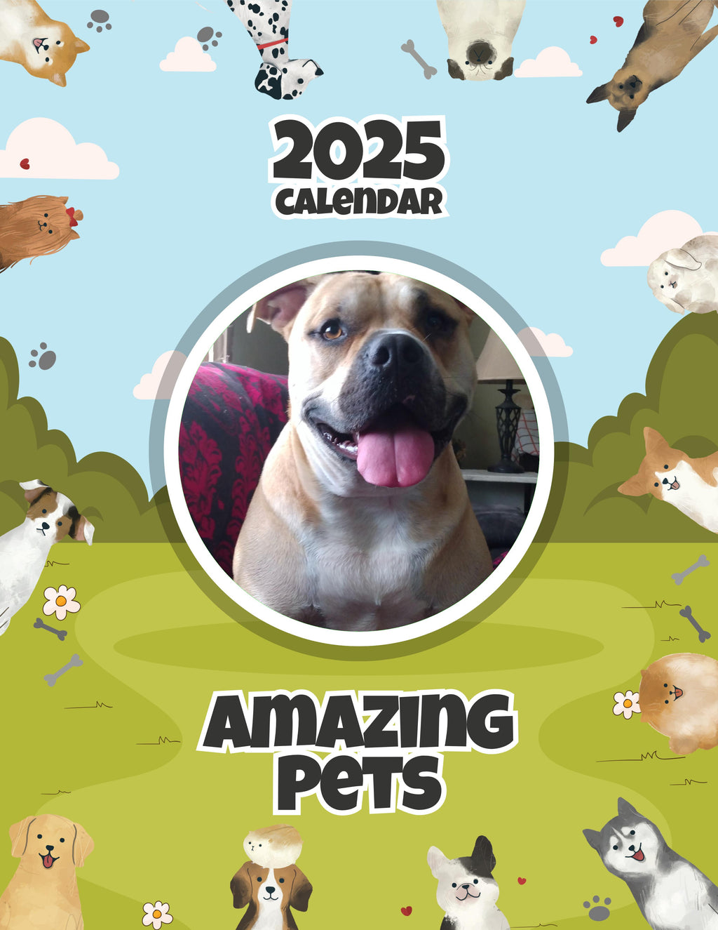 Amazing Pets: 2025 Wall Calendar (Pre-Order)