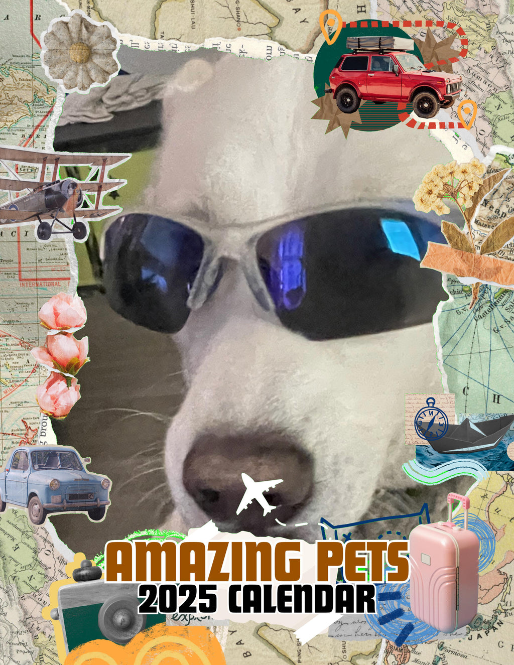 Amazing Pets: 2025 Wall Calendar (Pre-Order)