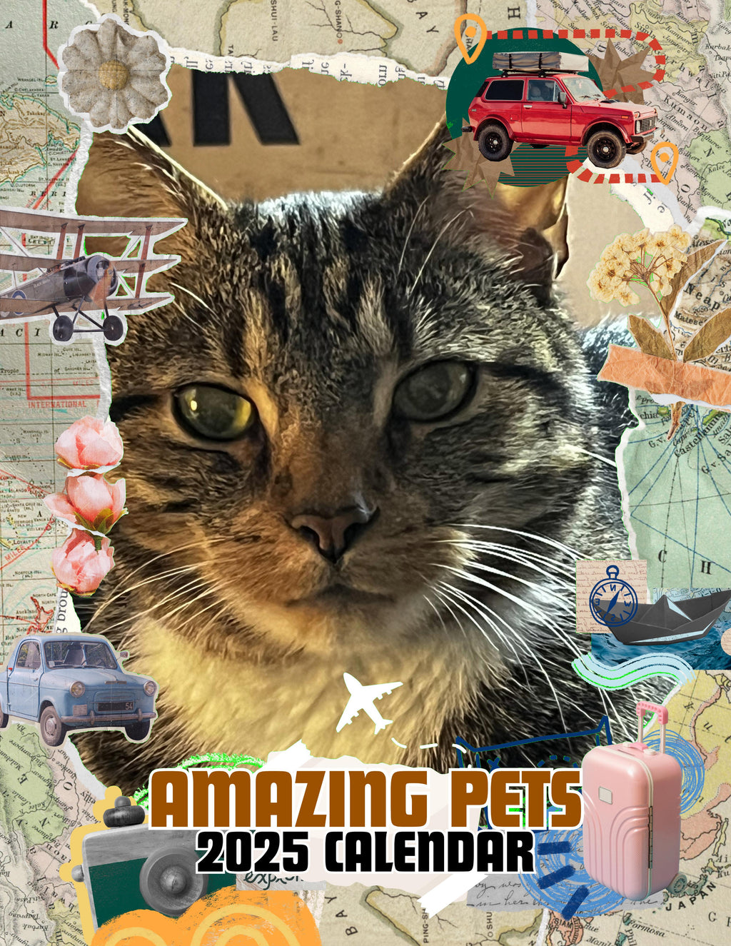 Amazing Pets: 2025 Wall Calendar (Pre-Order)