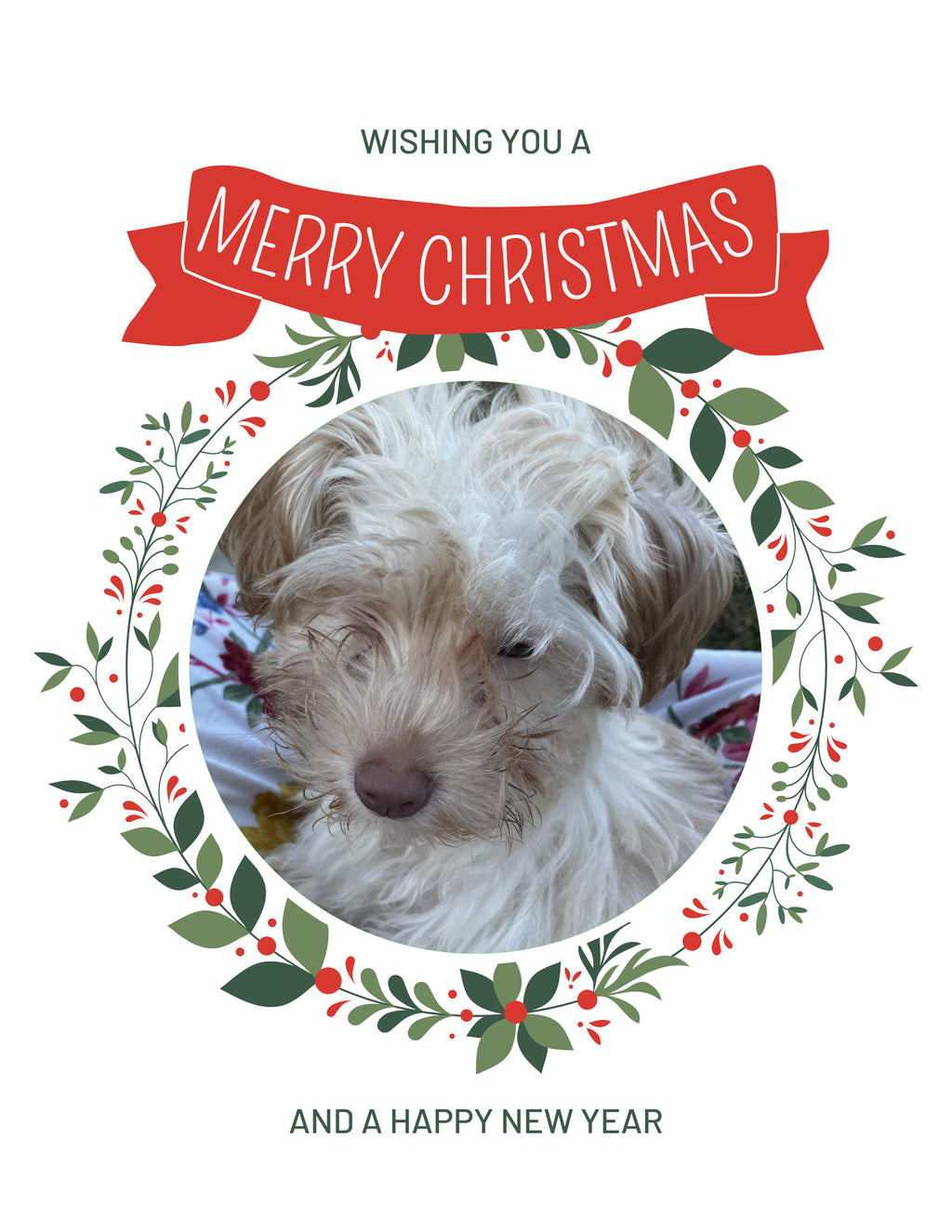 7869757419 Christmas Greeting Cards