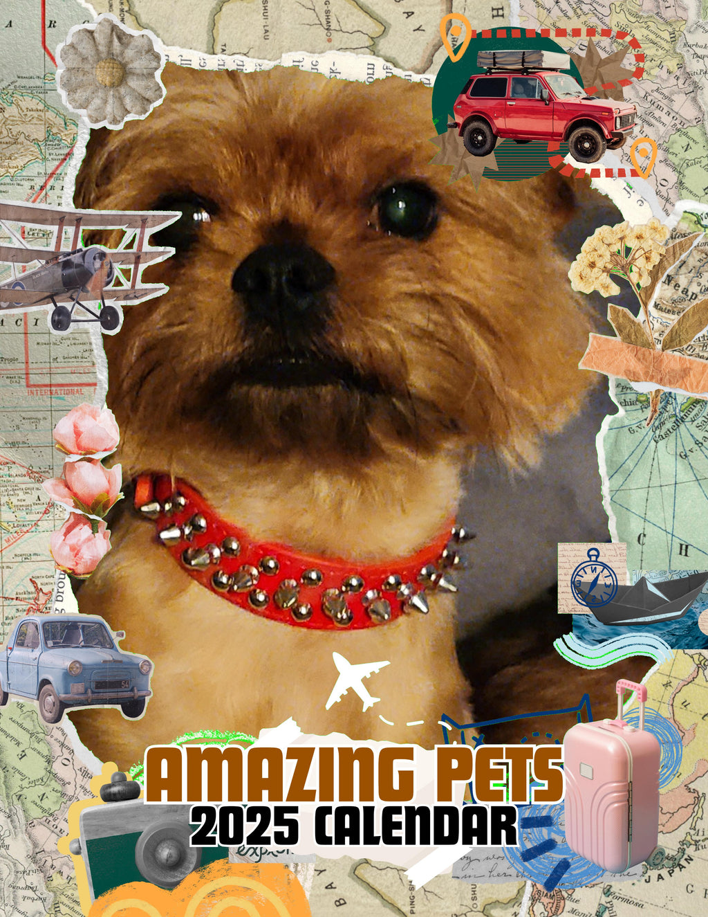 Amazing Pets: 2025 Wall Calendar (Pre-Order)