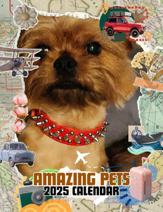 Amazing Pets: 2025 Wall Calendar (Pre-Order)