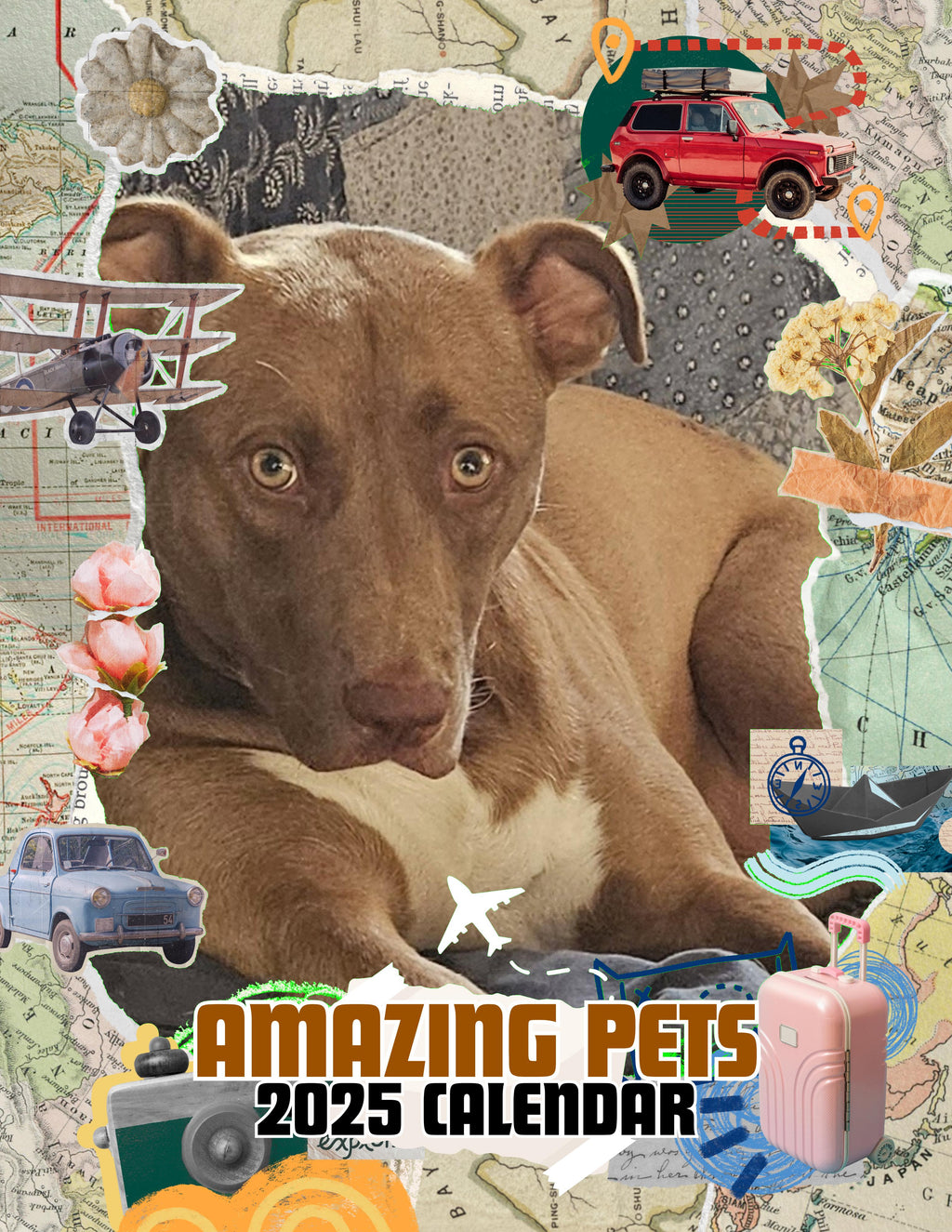 Amazing Pets: 2025 Wall Calendar (Pre-Order)