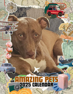 Amazing Pets: 2025 Wall Calendar (Pre-Order)