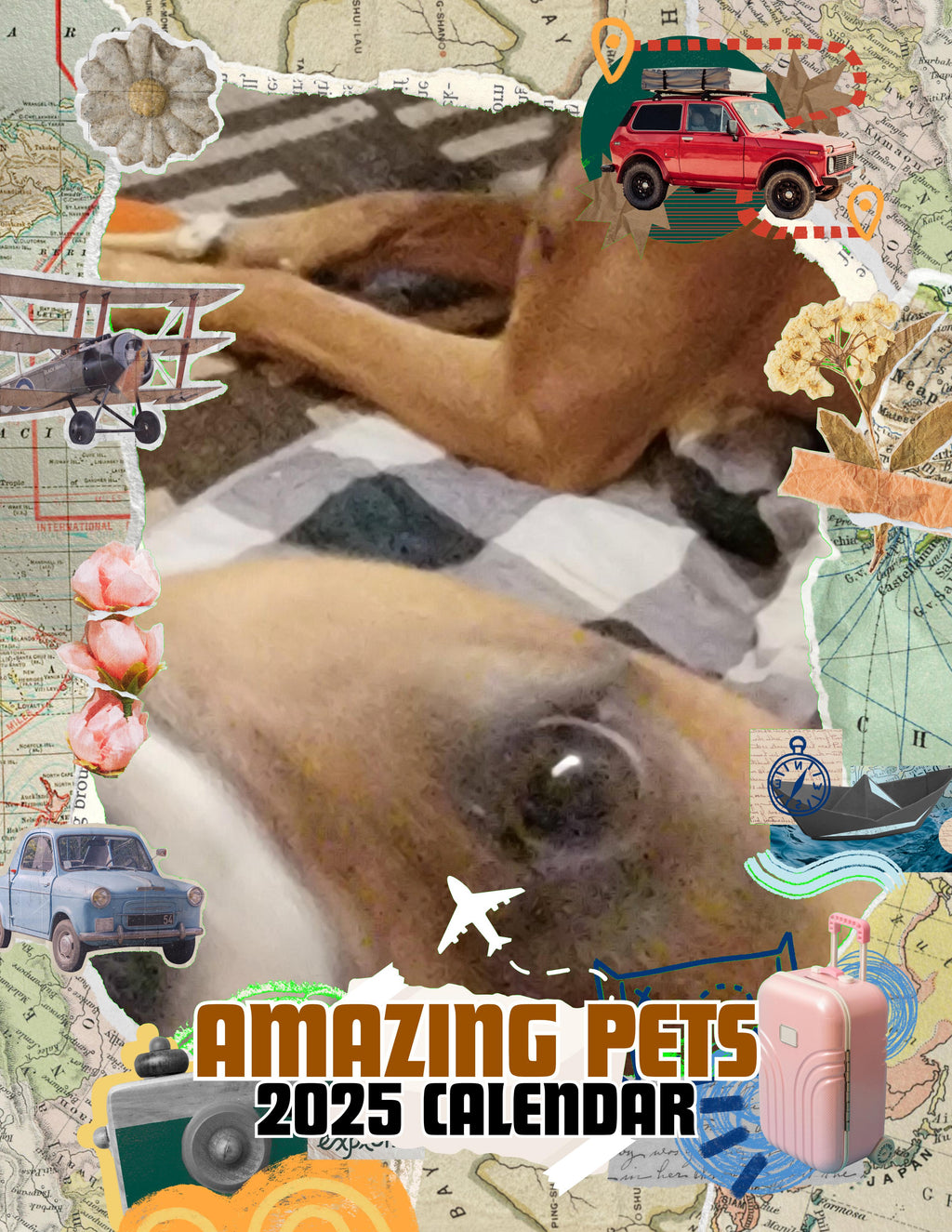 Amazing Pets: 2025 Wall Calendar (Pre-Order)