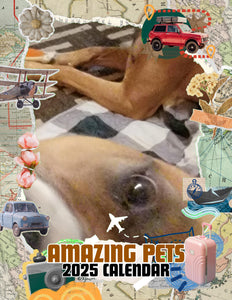 Amazing Pets: 2025 Wall Calendar (Pre-Order)