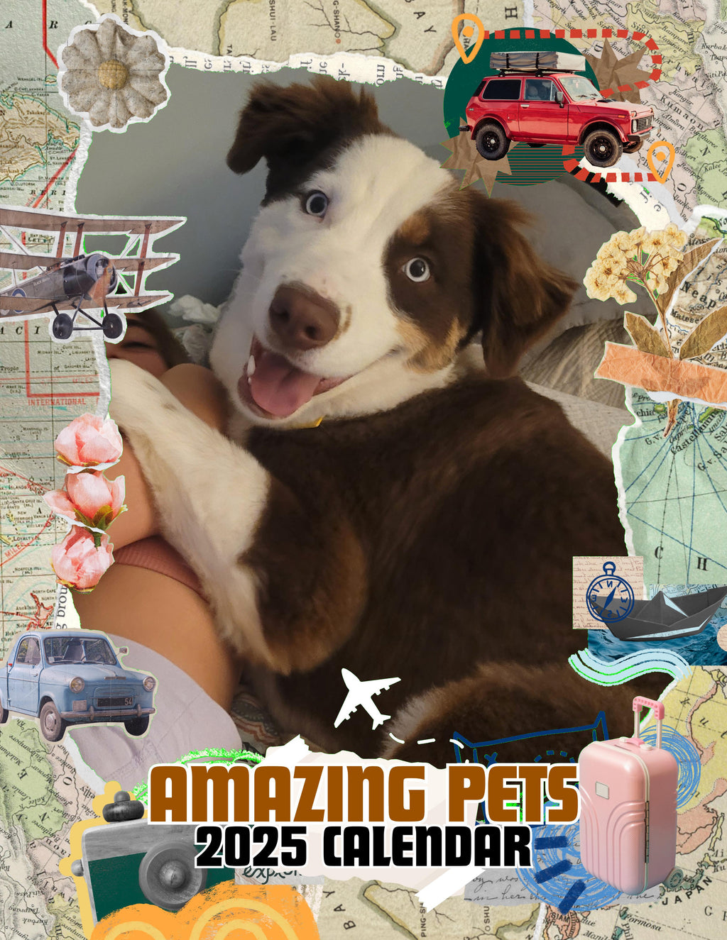 Amazing Pets: 2025 Wall Calendar (Pre-Order)