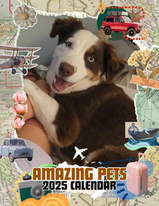 Amazing Pets: 2025 Wall Calendar (Pre-Order)