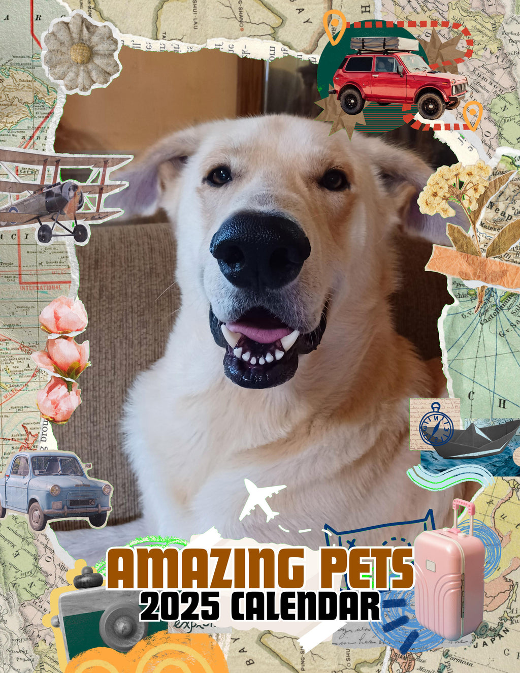 Amazing Pets: 2025 Wall Calendar (Pre-Order)