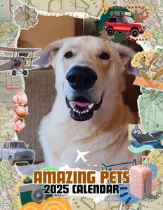 Amazing Pets: 2025 Wall Calendar (Pre-Order)